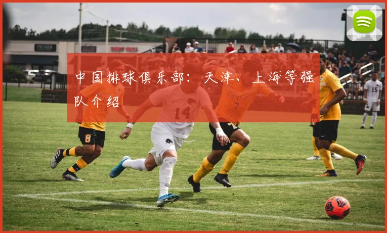 中国排球俱乐部：天津、上海等强队介绍
