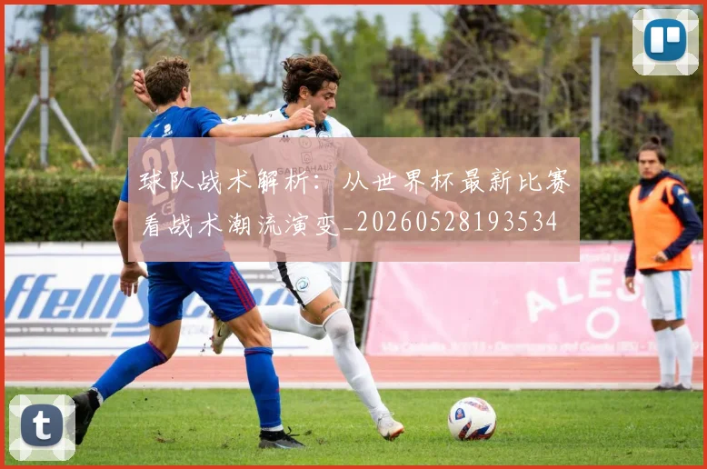 球队战术解析:从世界杯最新比赛看战术潮流演变_20260528193534