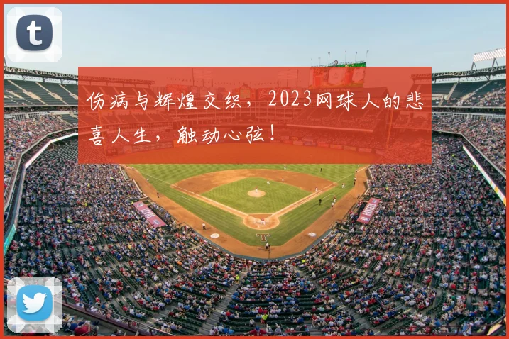 伤病与辉煌交织，2023网球人的悲喜人生，触动心弦！
