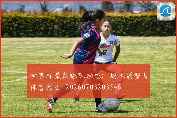 世界杯最新球队动态：战术调整与阵容预测_20260703203546
