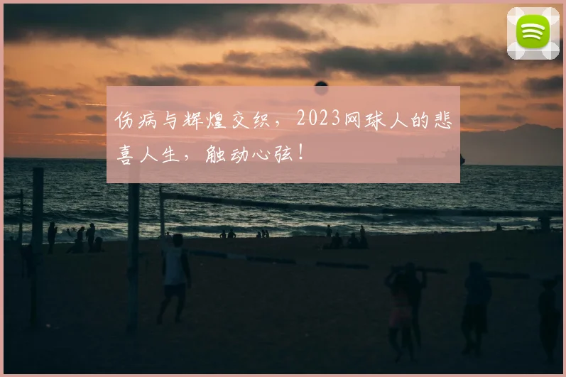 伤病与辉煌交织，2023网球人的悲喜人生，触动心弦！
